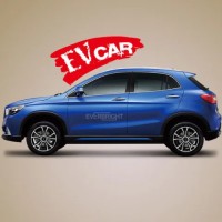 New energy Logistics Special Vehicle Mini Van truck