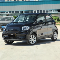 In Stock Leapmotor T03 2022 Onyx 5 Seats 4 Wheel High Speed EV Chinese Electric Car New Vehicles Cars For Sale