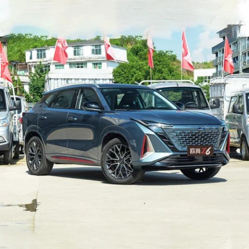 Made in China New Energy Changan Auchan Z6 2022 Blue Whale iDD pure electric range 150KM Changan oushang Z6