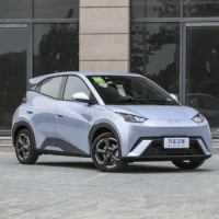 2025 BYD Seagull New Energy Vehicle Small Adult Car