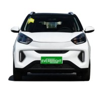 Mini electric Fuel and New Condition 5 Seaters Electric Car 2024 chang an zyx