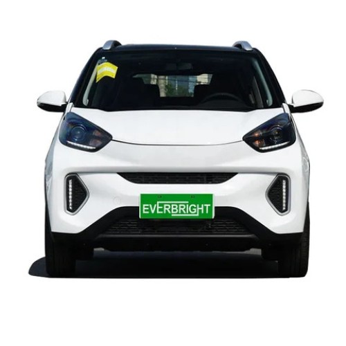 chang an zyx  China 2024 new energy adult minicar 4 wheel electric car with car electric car made in china panel 2024