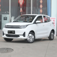 Cheap Chinese levdeo letin mango Hot Sale New Energy Car For Adults Pure Electric Vehicles EV Car Letin Mengo letin mengo ev car